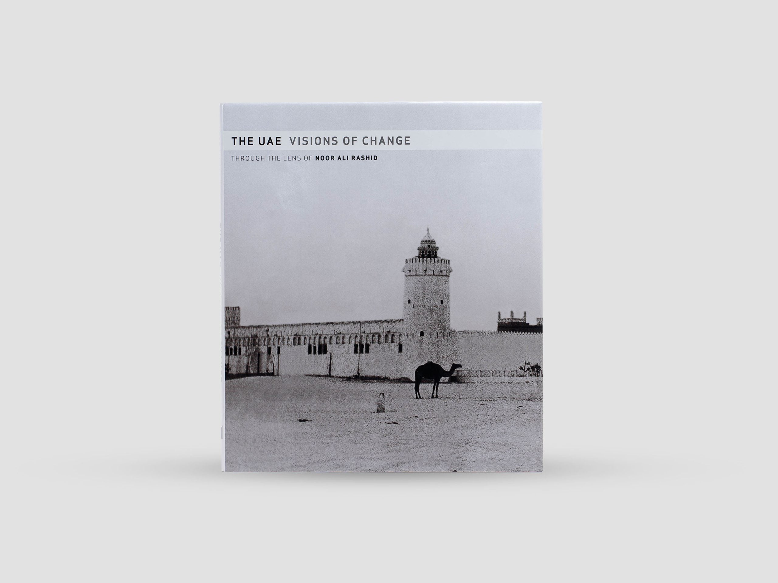 The UAE: Visions of Change