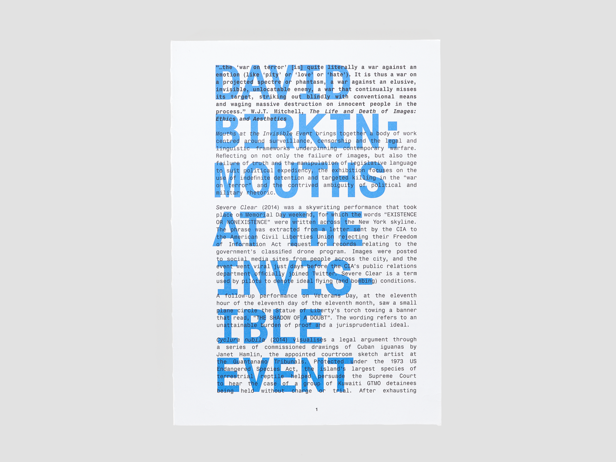 David Birkin: Mouths at the Invisible Event