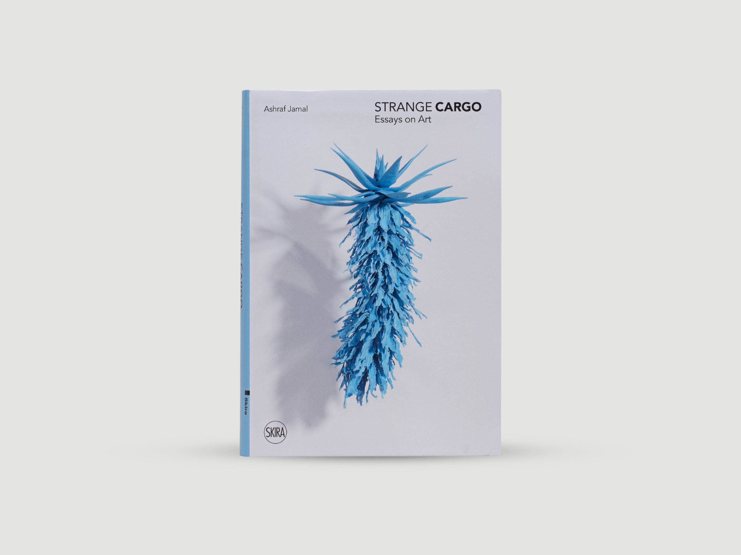 Strange Cargo : Essays on Art