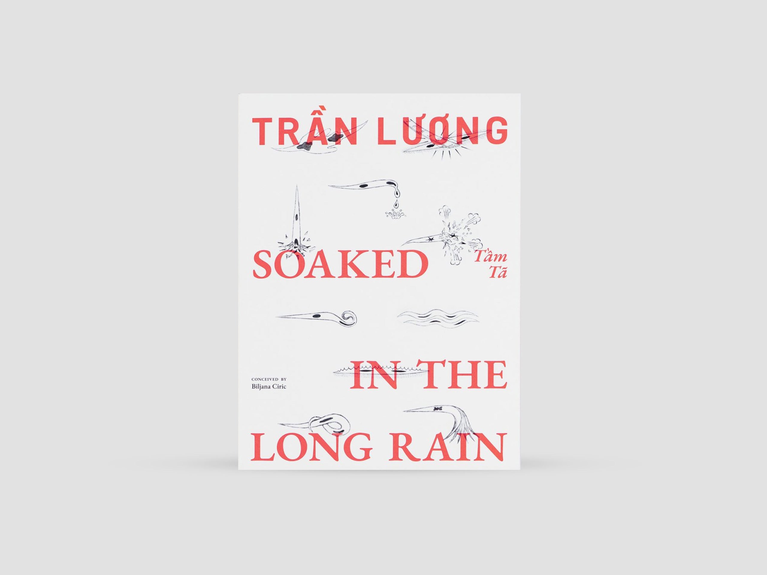 Trần Lương: Soaked in the Long Rain
