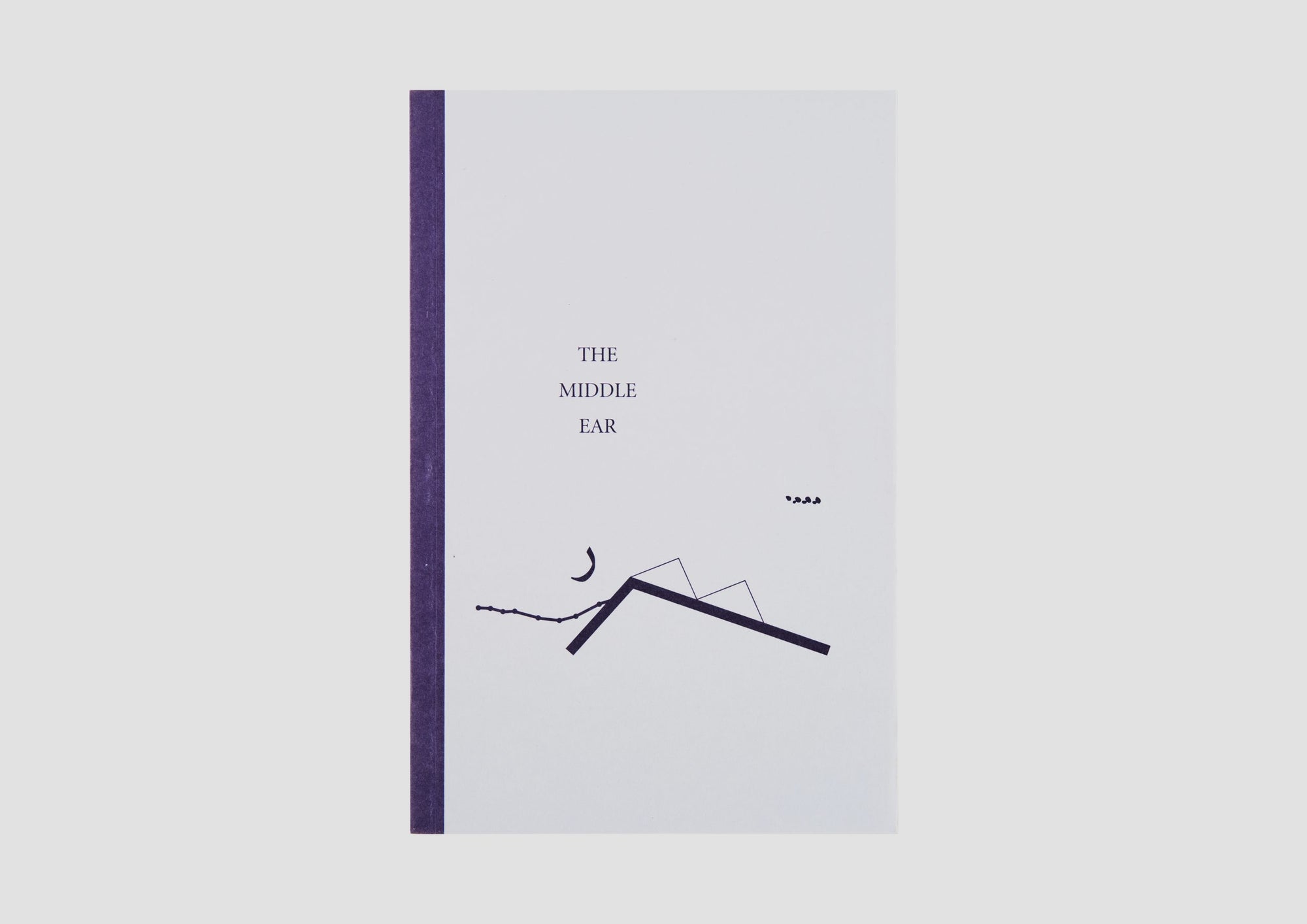 The Middle Ear