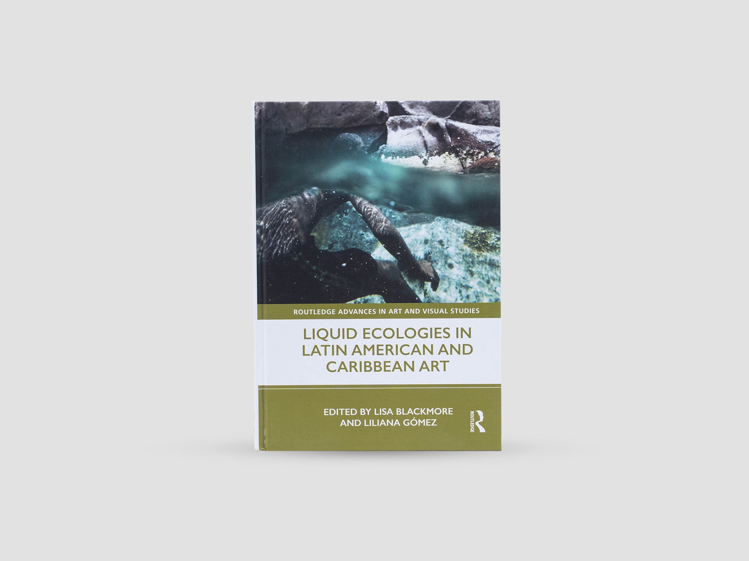 Liquid Ecologies in Latin American and Caribbean Art