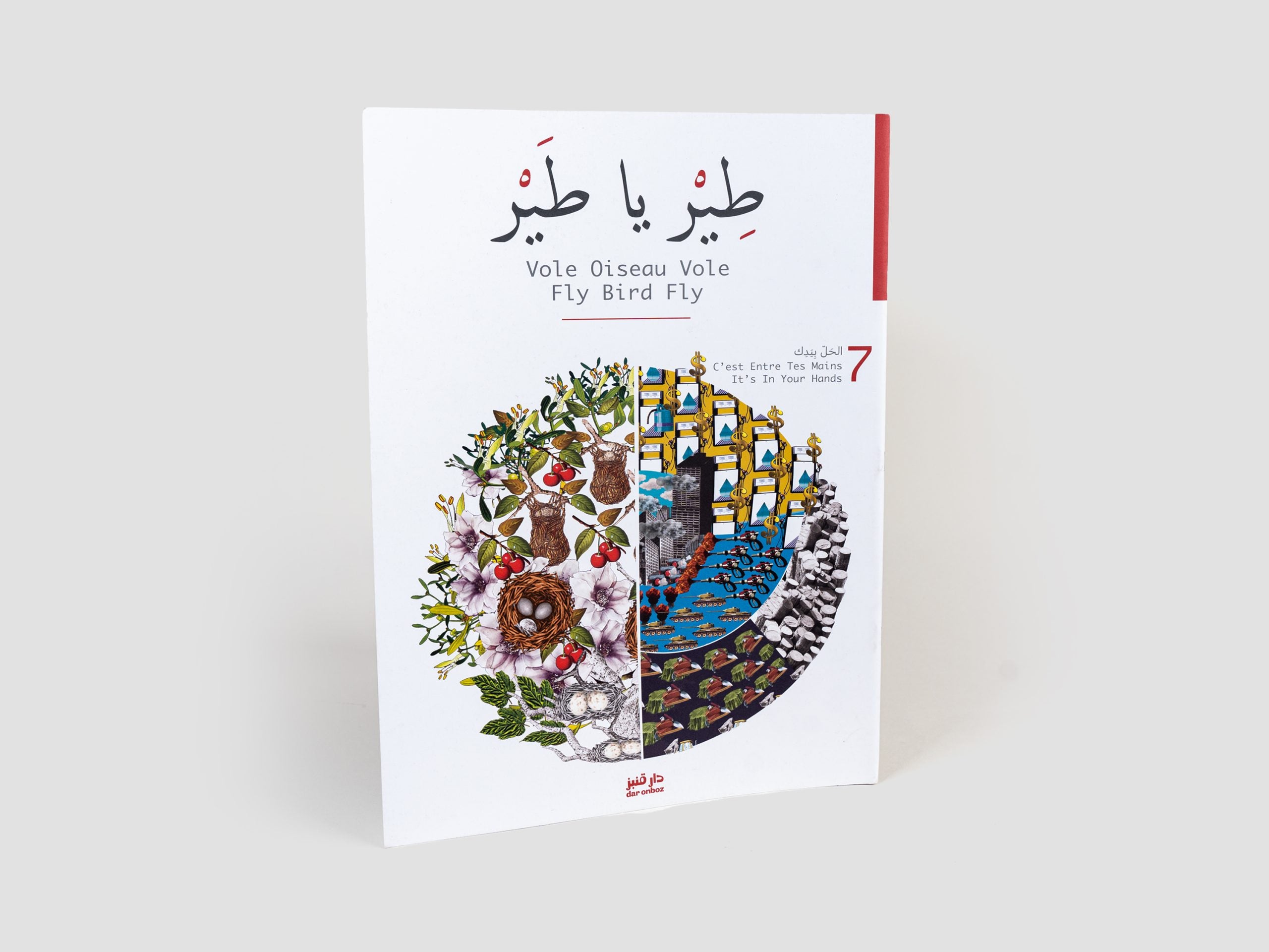 Fly Bird Fly - Book 7