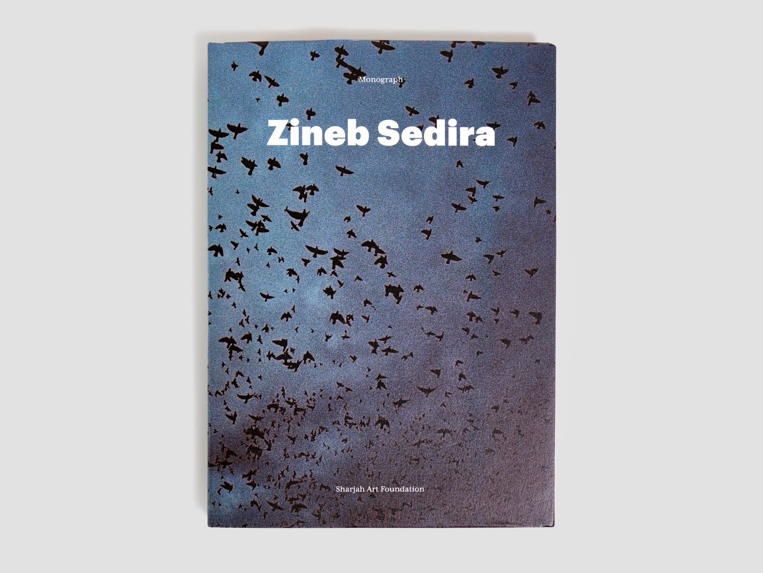 Zineb Sedira Monograph