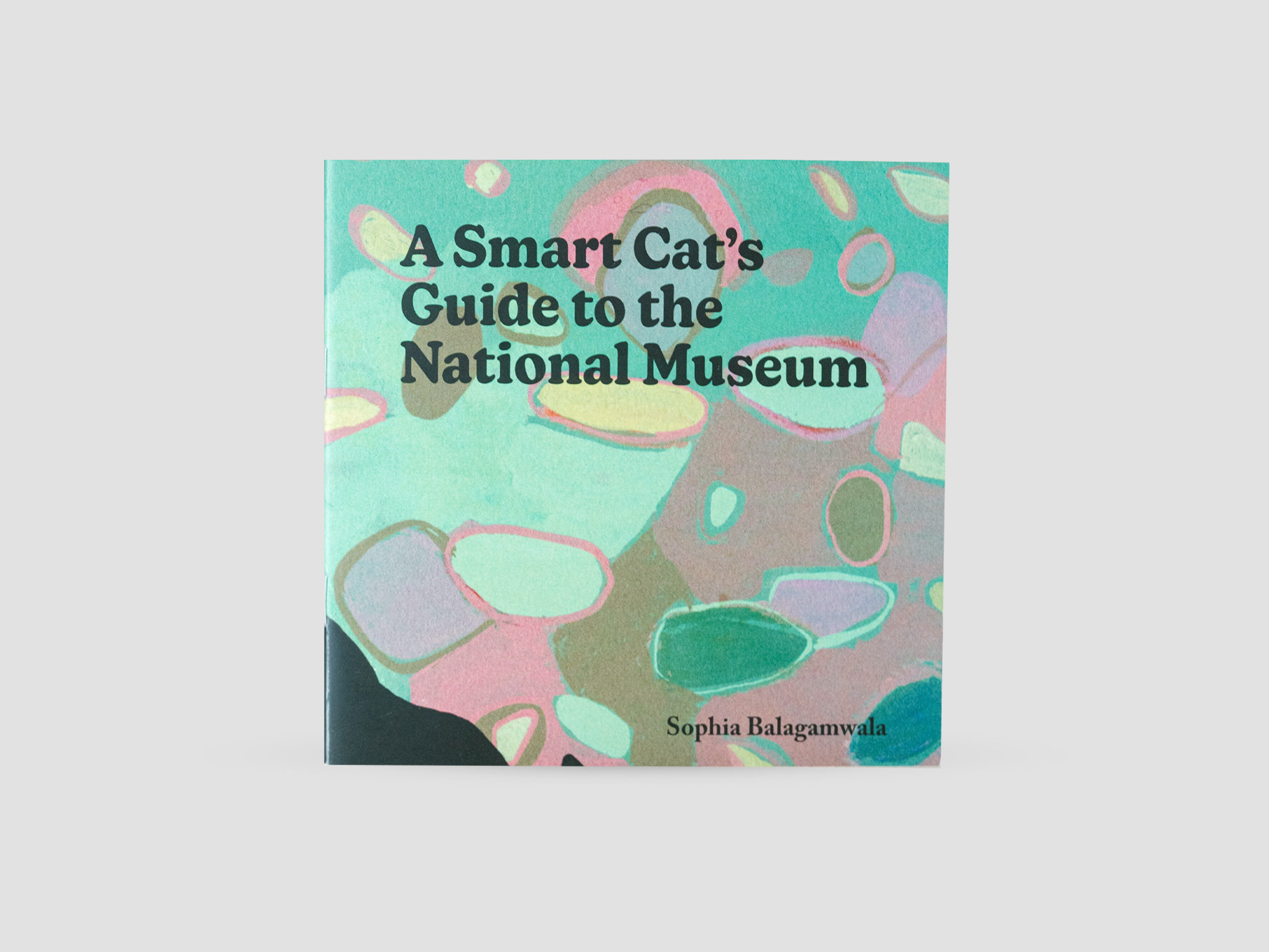 A Smart Cats Guide to the National Museum