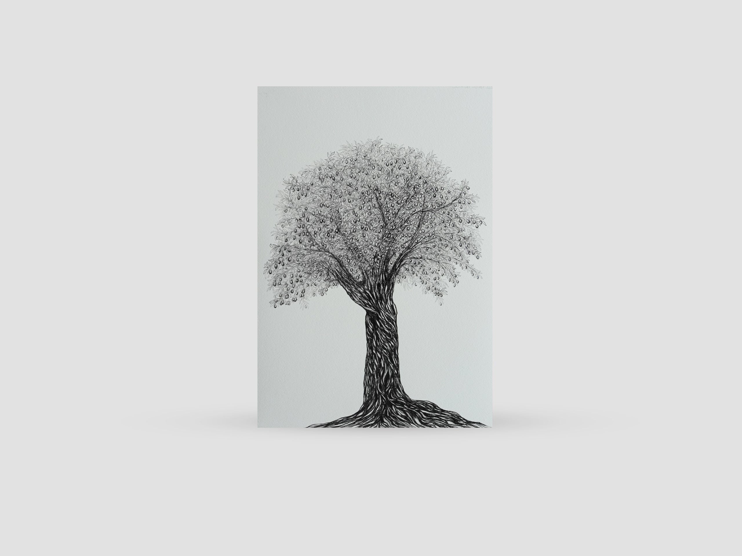 The Olive Tree Poster