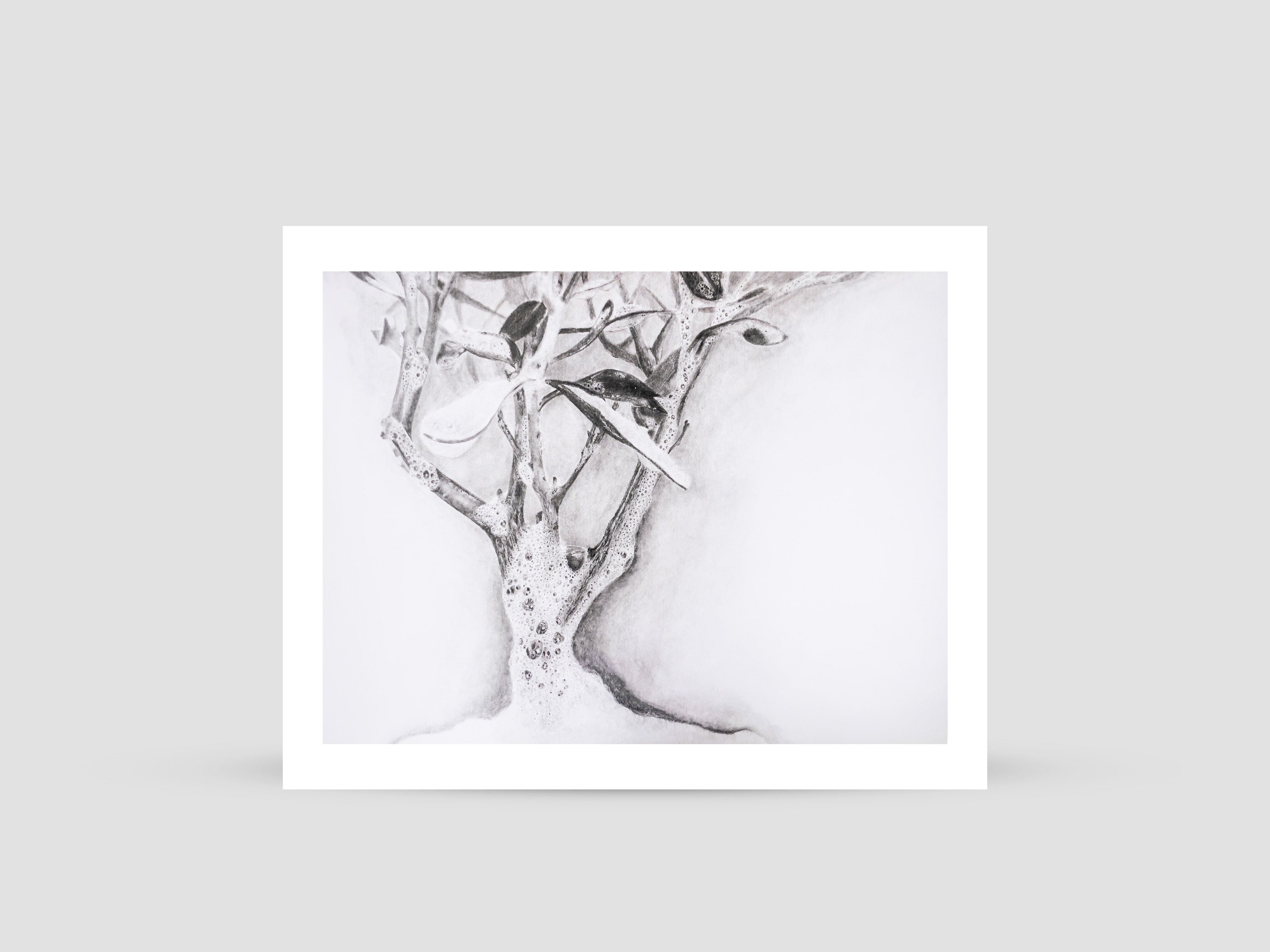 Dalia Baassiri, White Olive (2024)