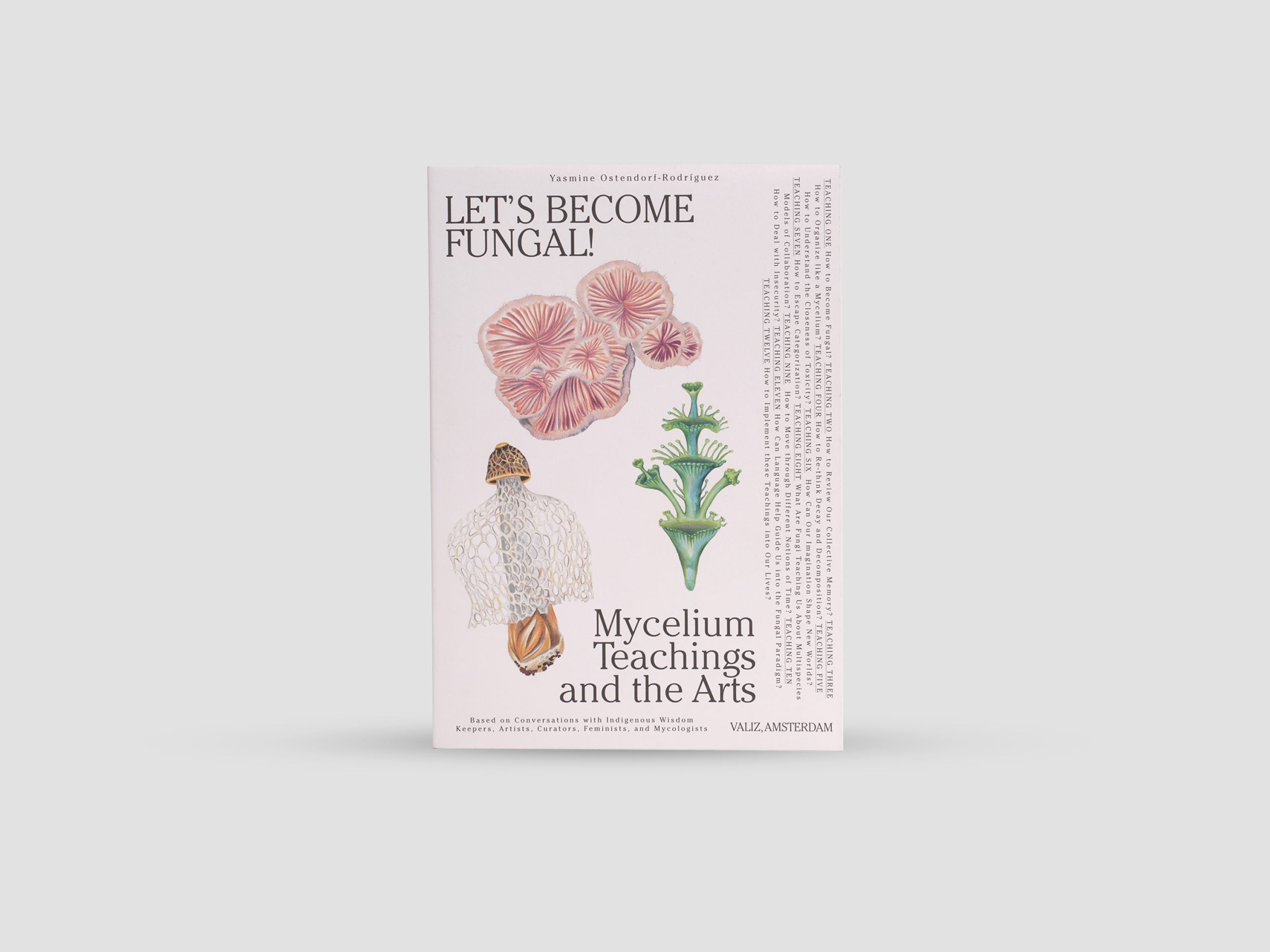 Let's Become Fungal!: Mycelium Teachings and the Arts
