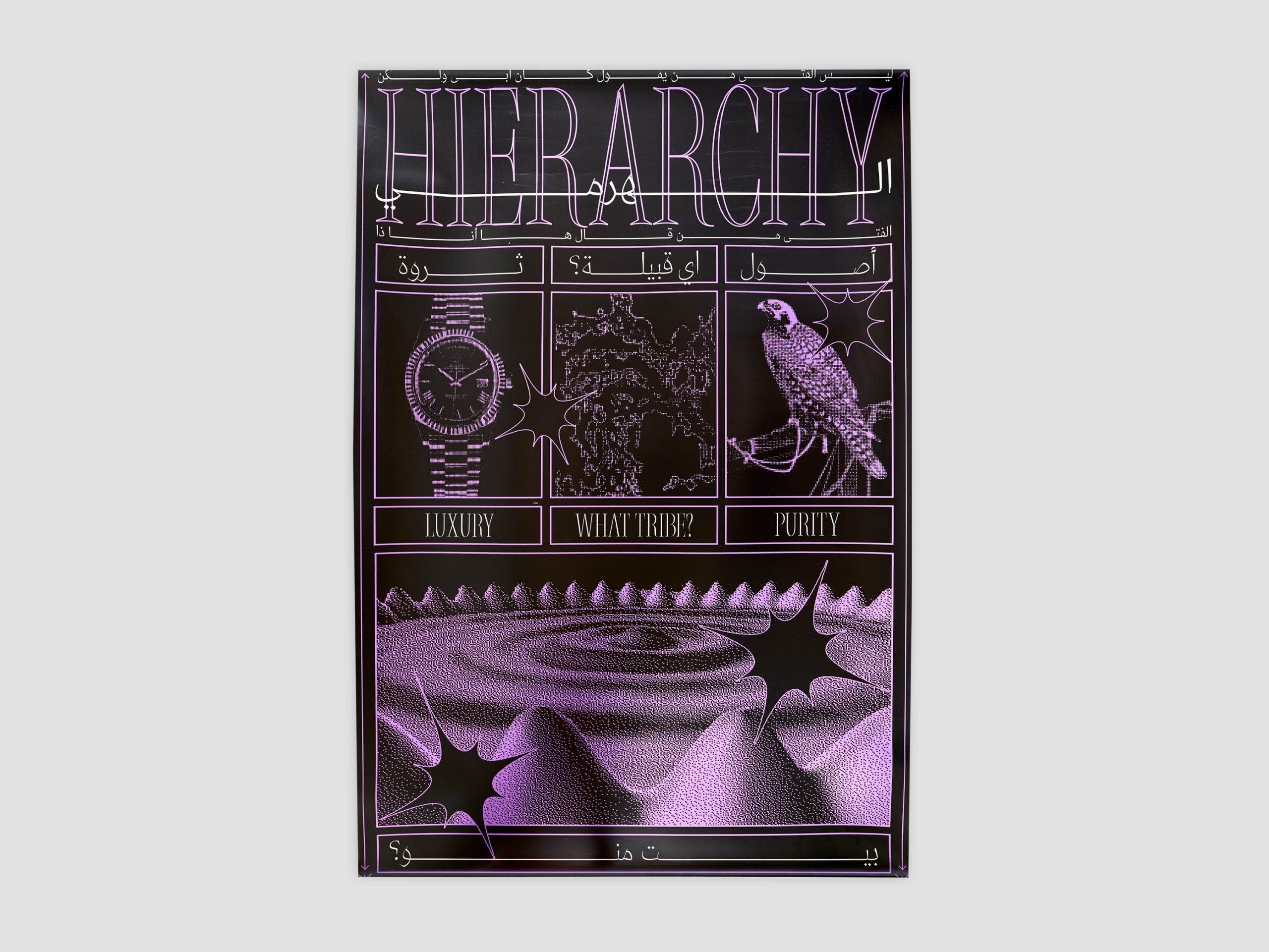 Hierarchy in the Gulf Limited Edition Print