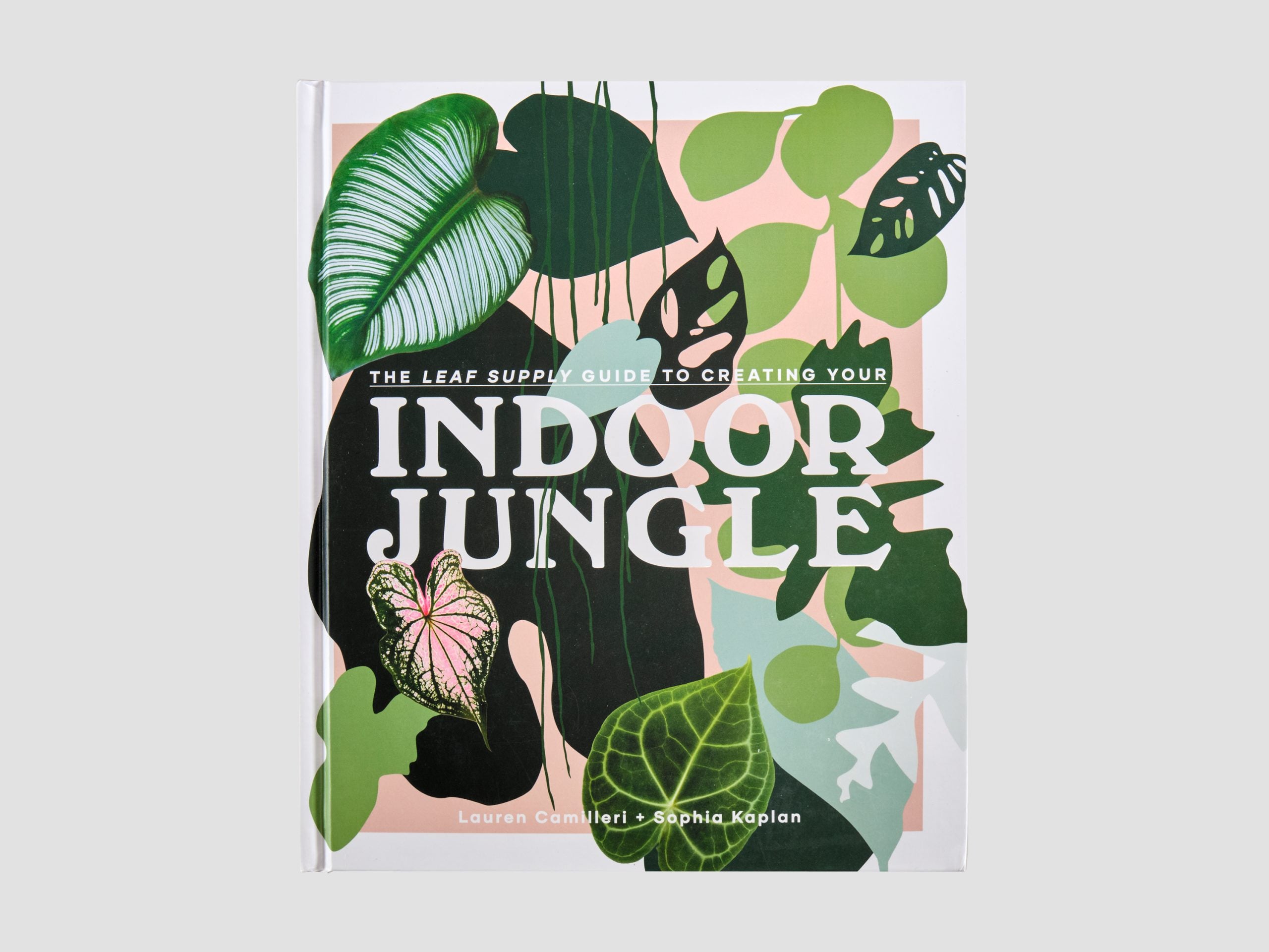 The Leaf Supply Guide to Creating Your Indoor Jungle