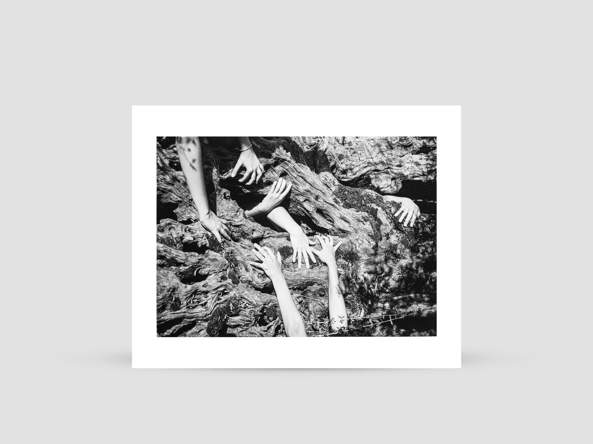 Tamara Kalo, Millenary Witness (2024)