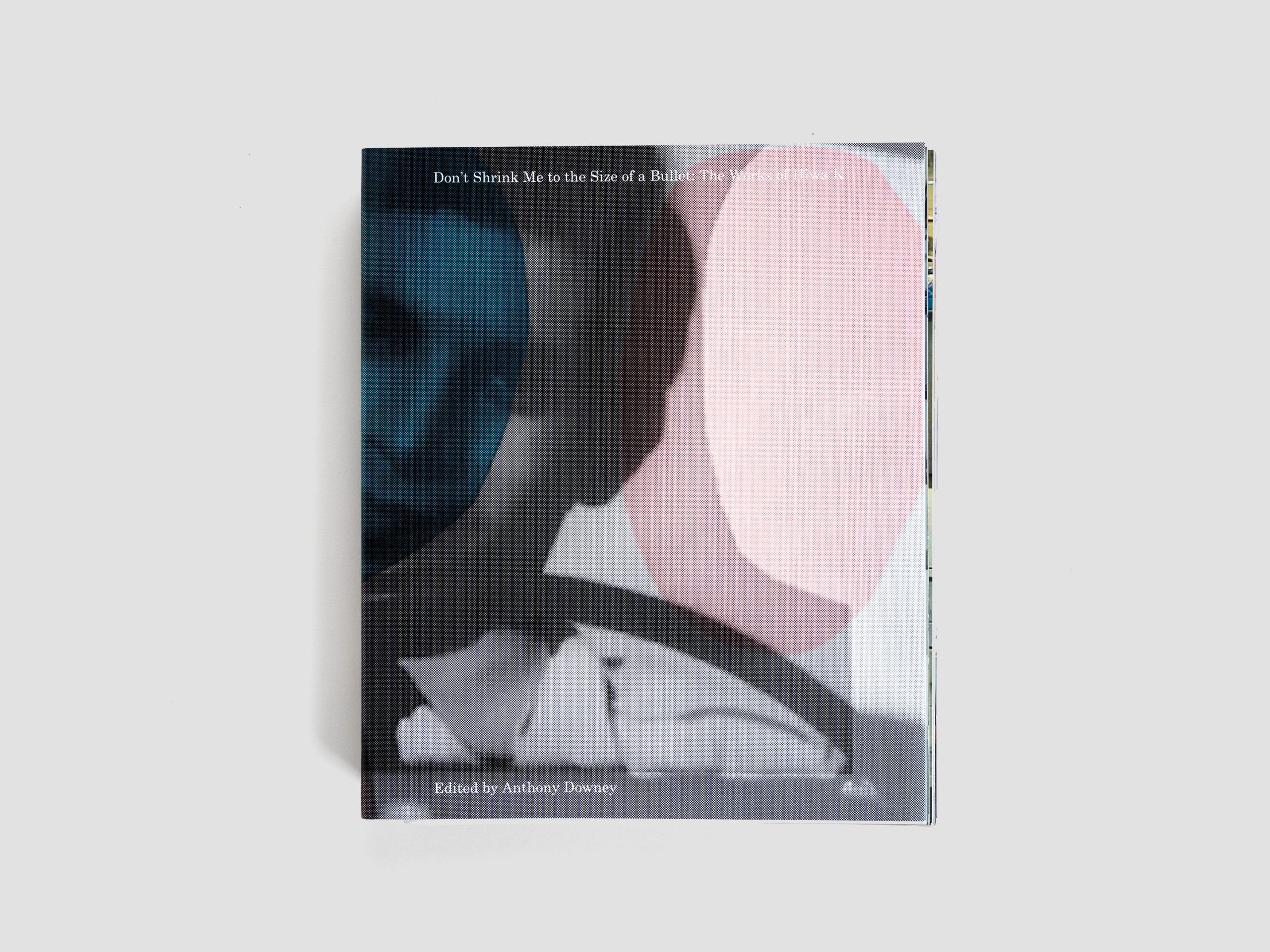 Don't Shrink Me to the Size of a Bullet: The Works of Hiwa K