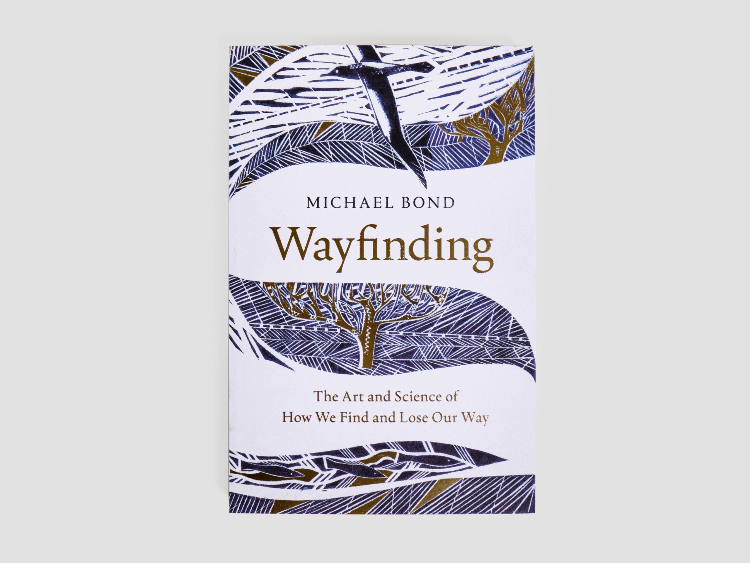 Wayfinding: The Art and Science of How We Find and Lose Our Way