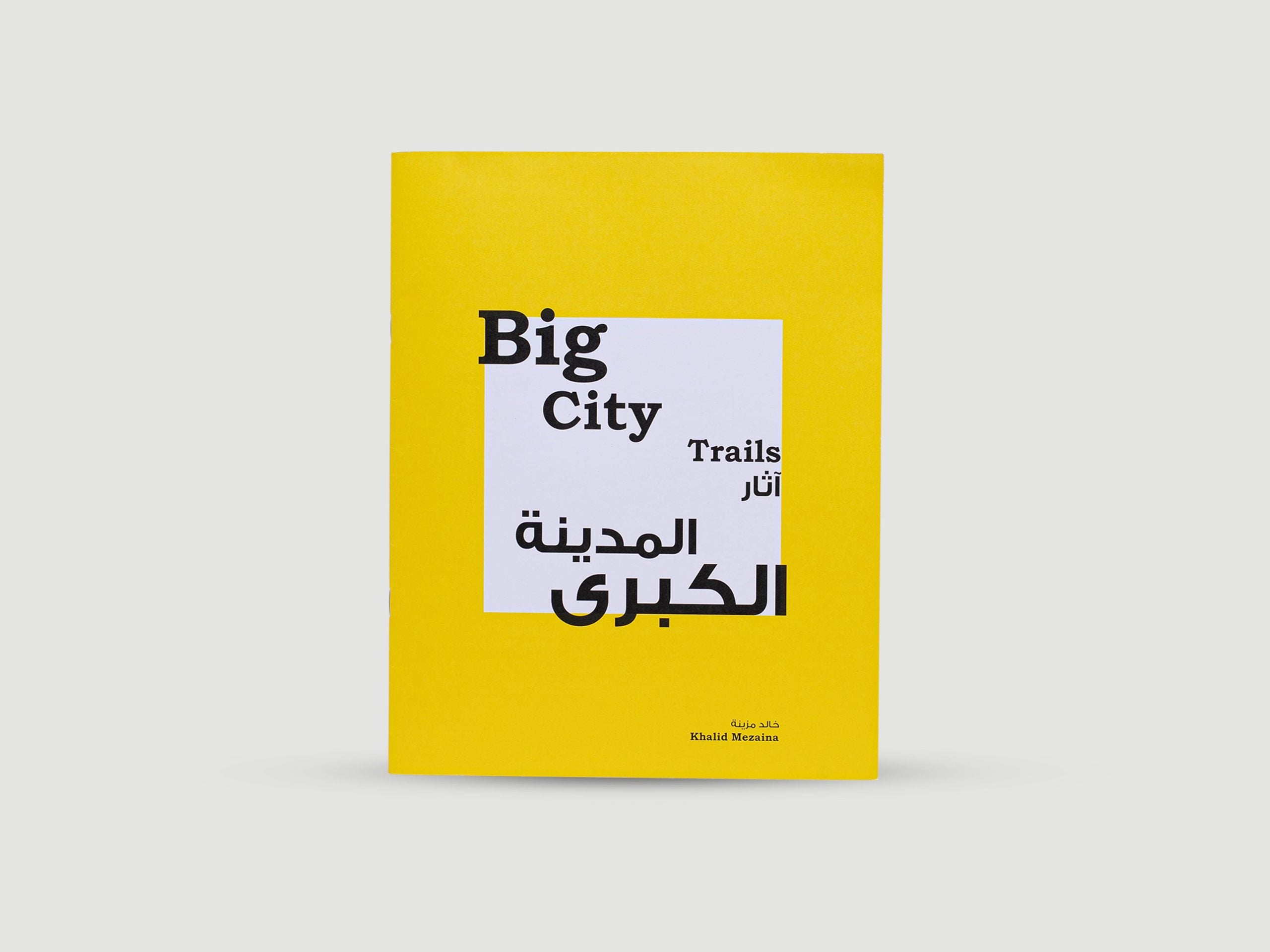 Big City Trails Activity Book