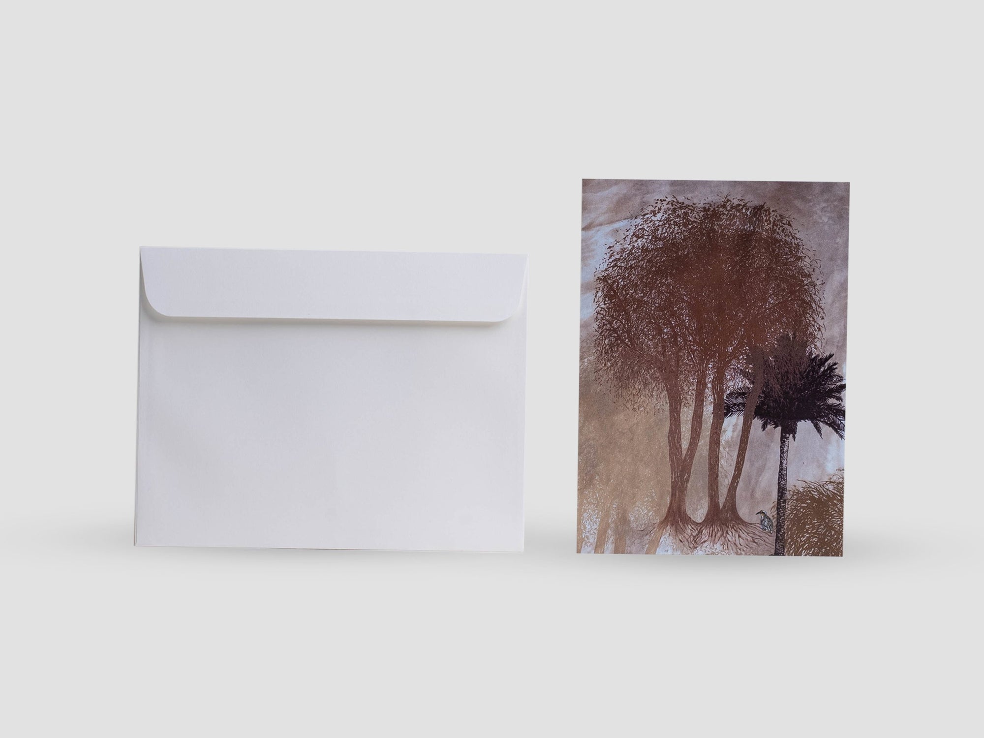 UAE Bird Courser Greeting Card