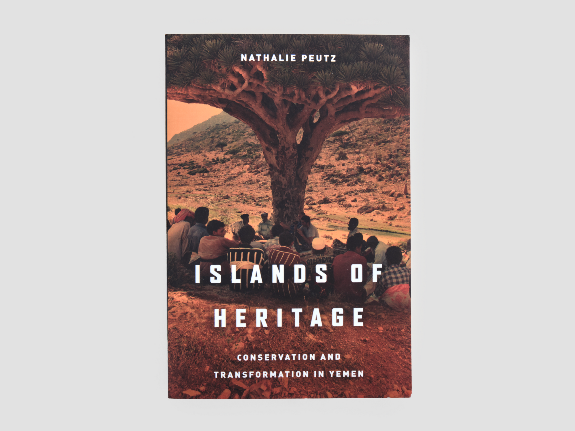 Islands of Heritage: Conservation and Transformation in Yemen