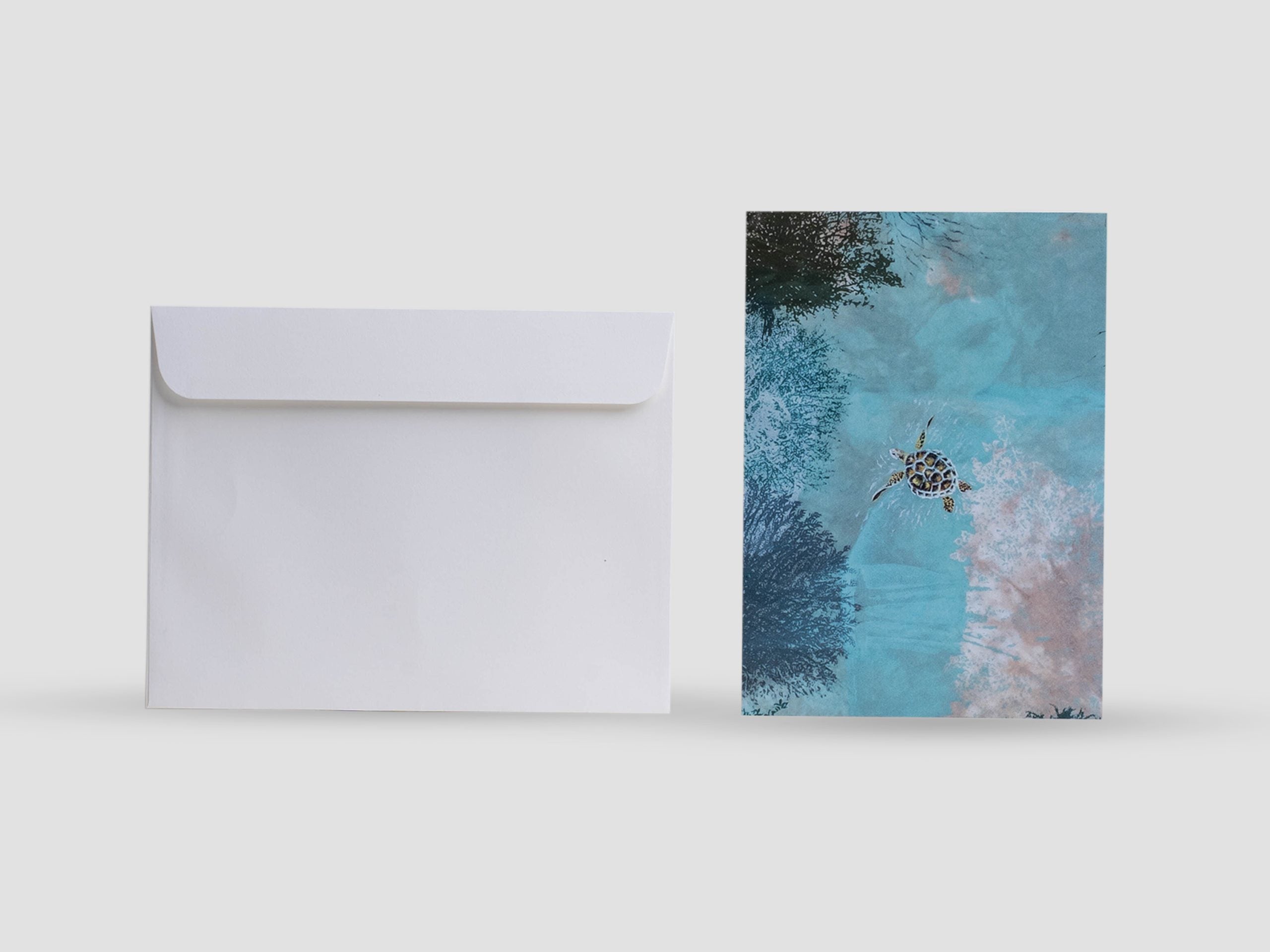 Green Sea Turtle Greeting Card