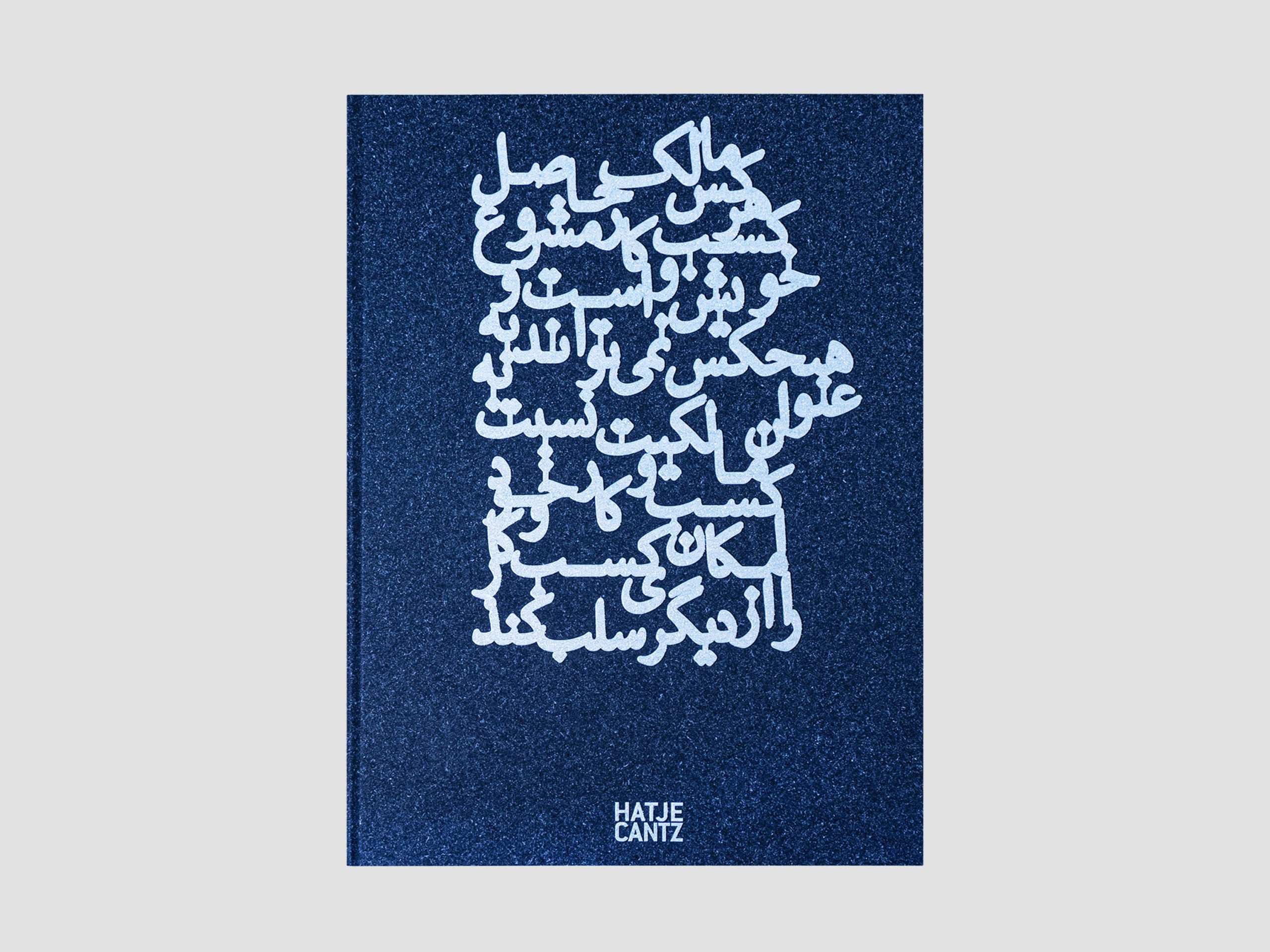 Nazgol Ansarinia : Inquiries Into the Present