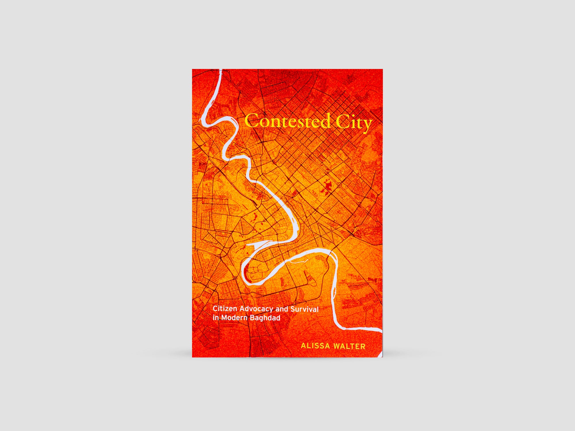 Contested City Citizen Advocacy and Survival in Modern Baghdad