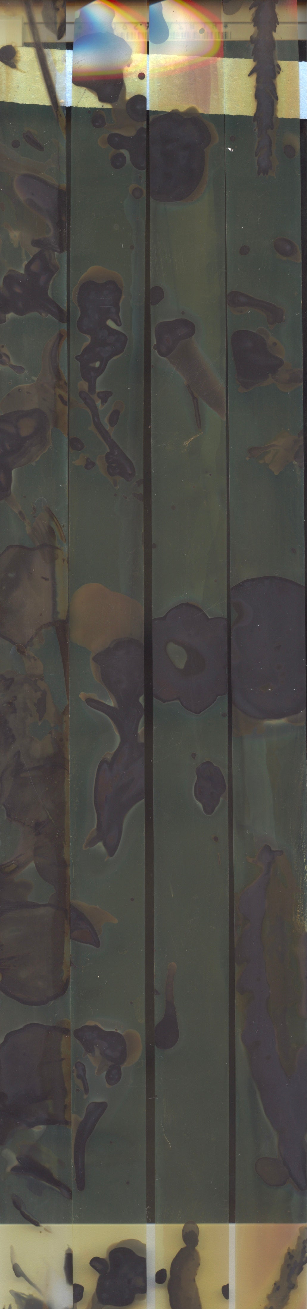 Artist Led Session: Phytograms with Mivan Makia