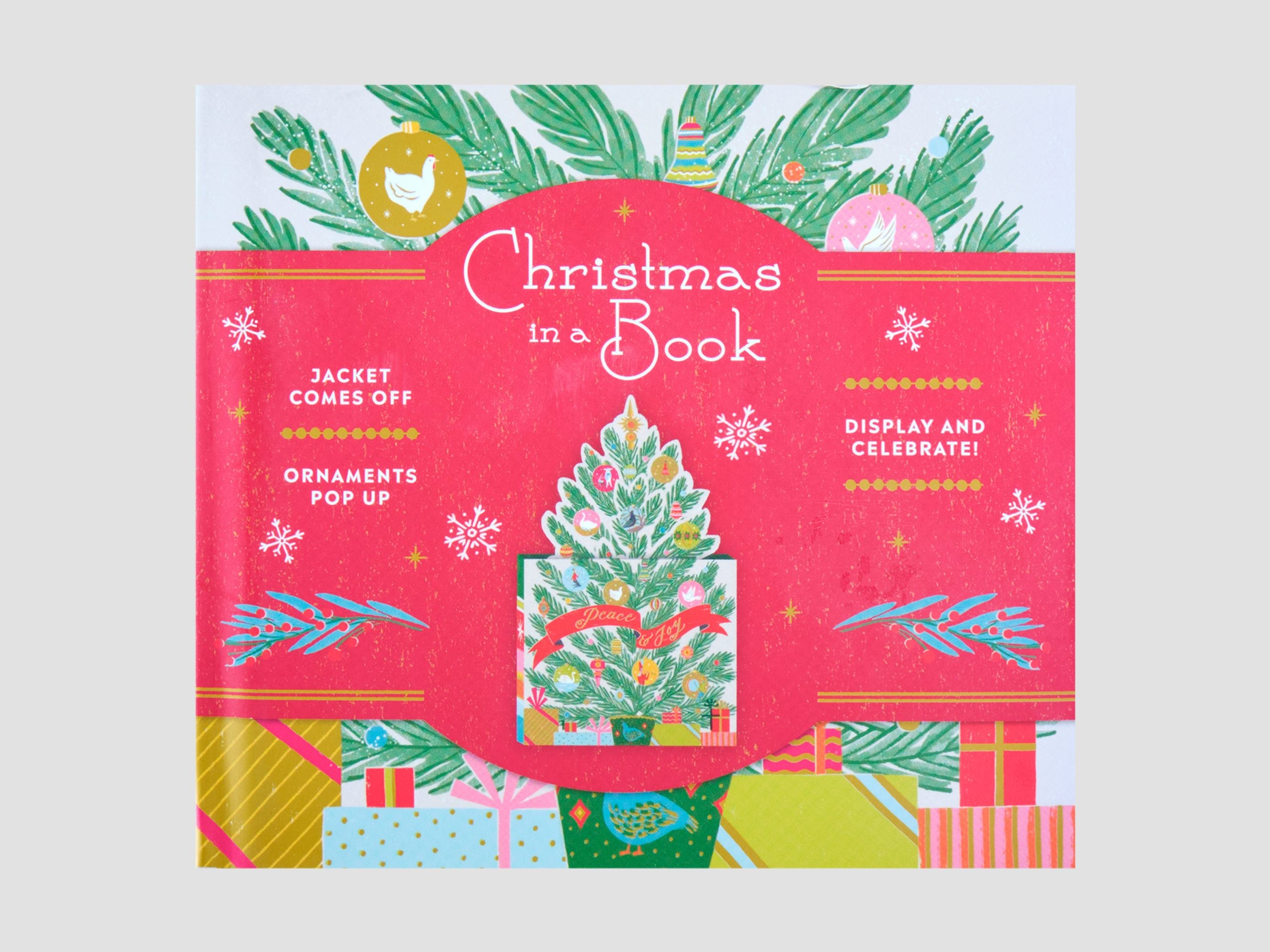Christmas in a Book