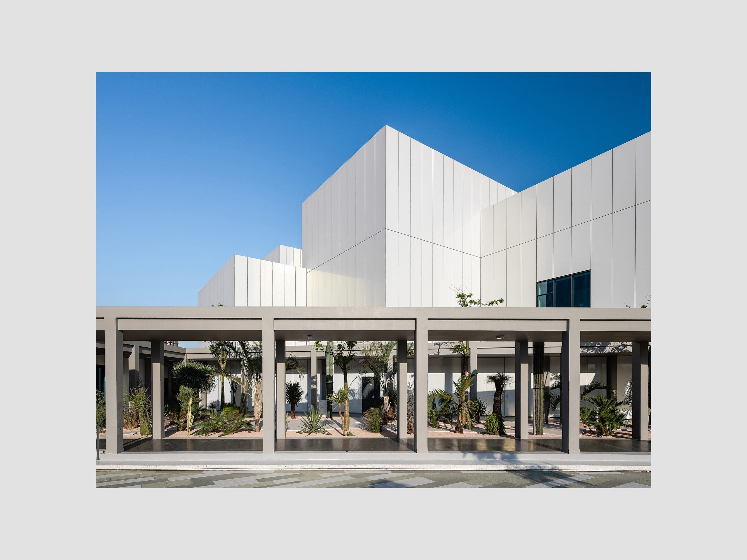 Garden View Postcard