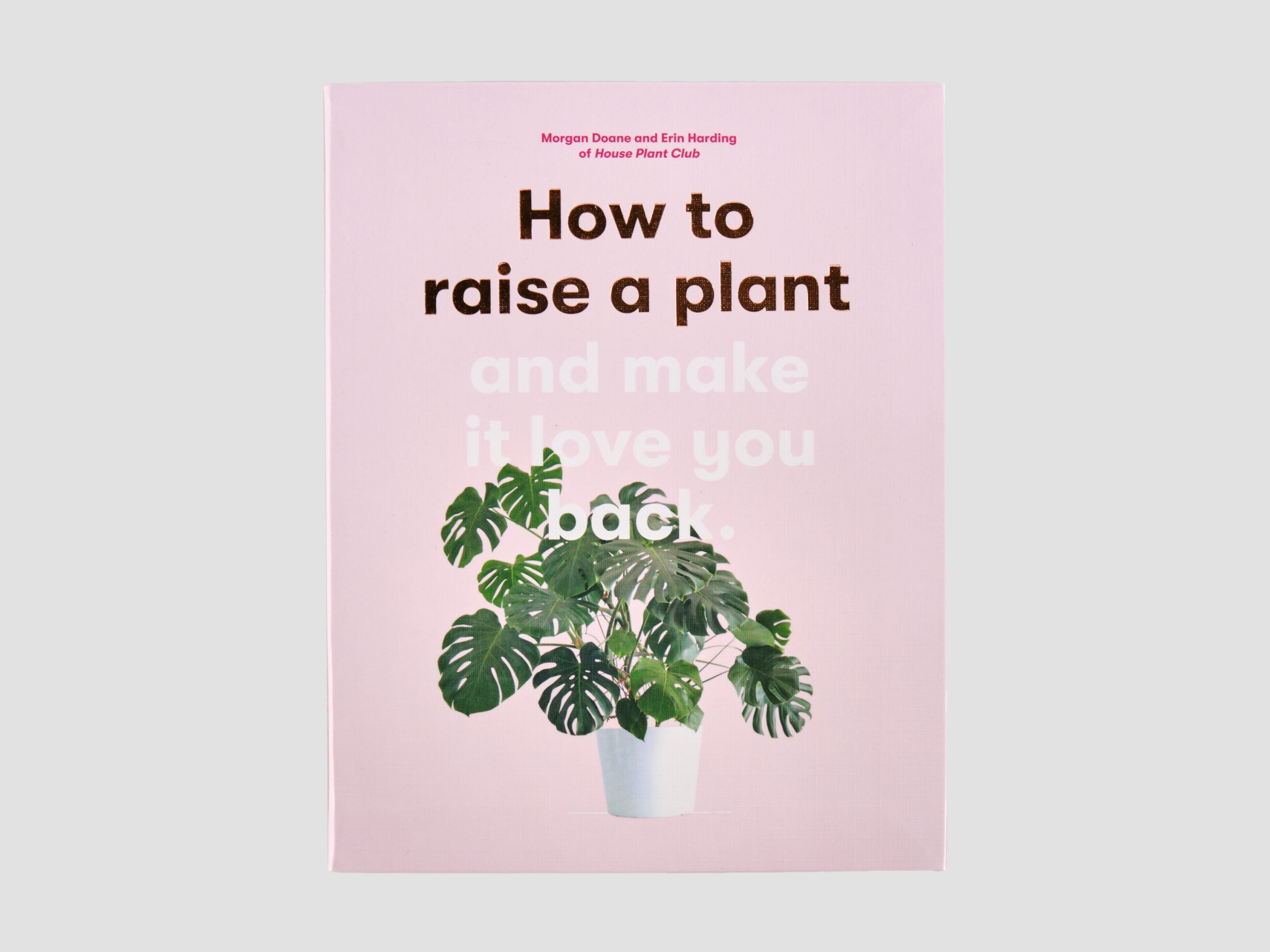 How to Raise a Plant and Make it Love You Back
